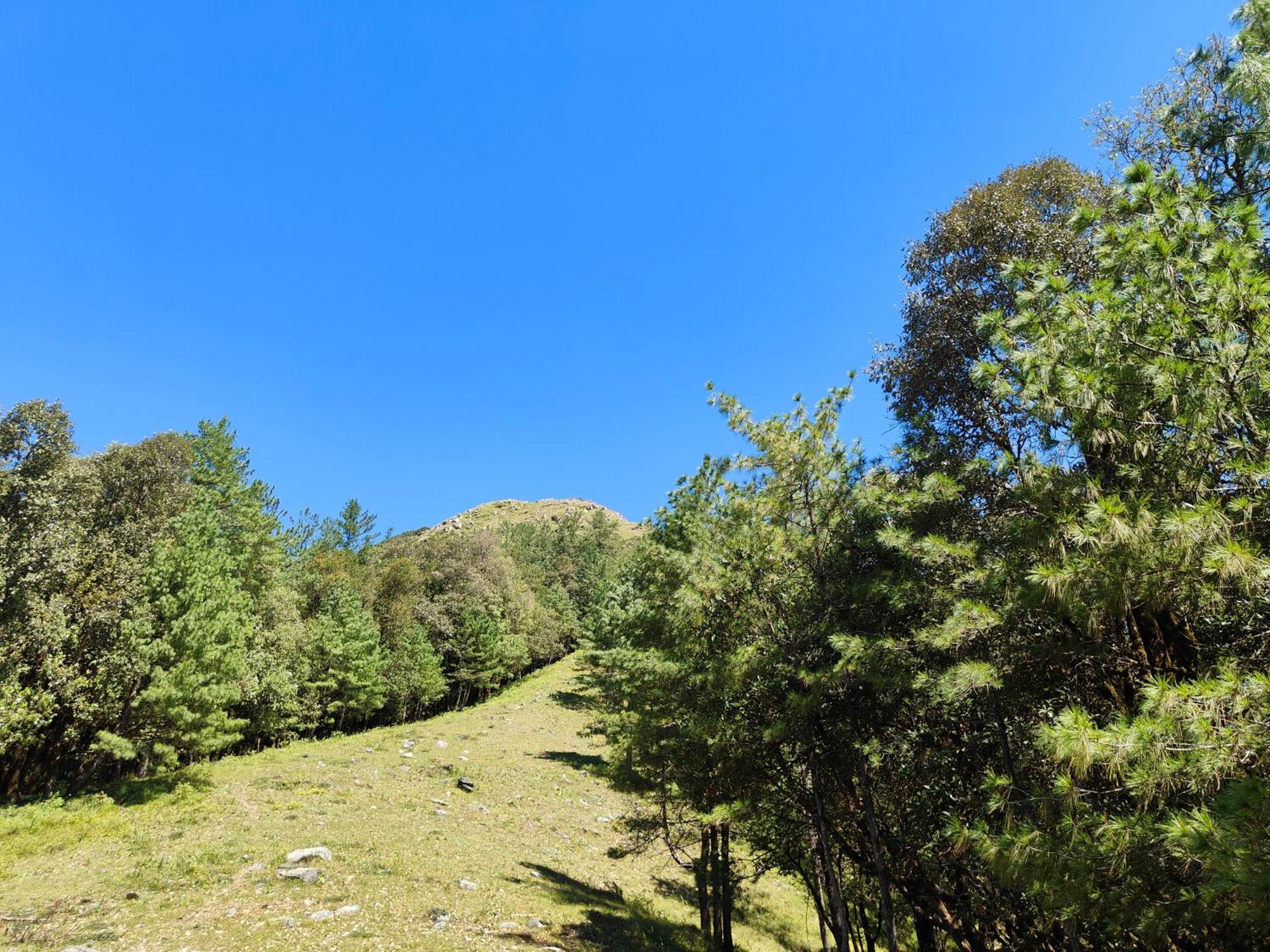 Himwanderer Camps & Cottages Pangot ナイニタール エクステリア 写真