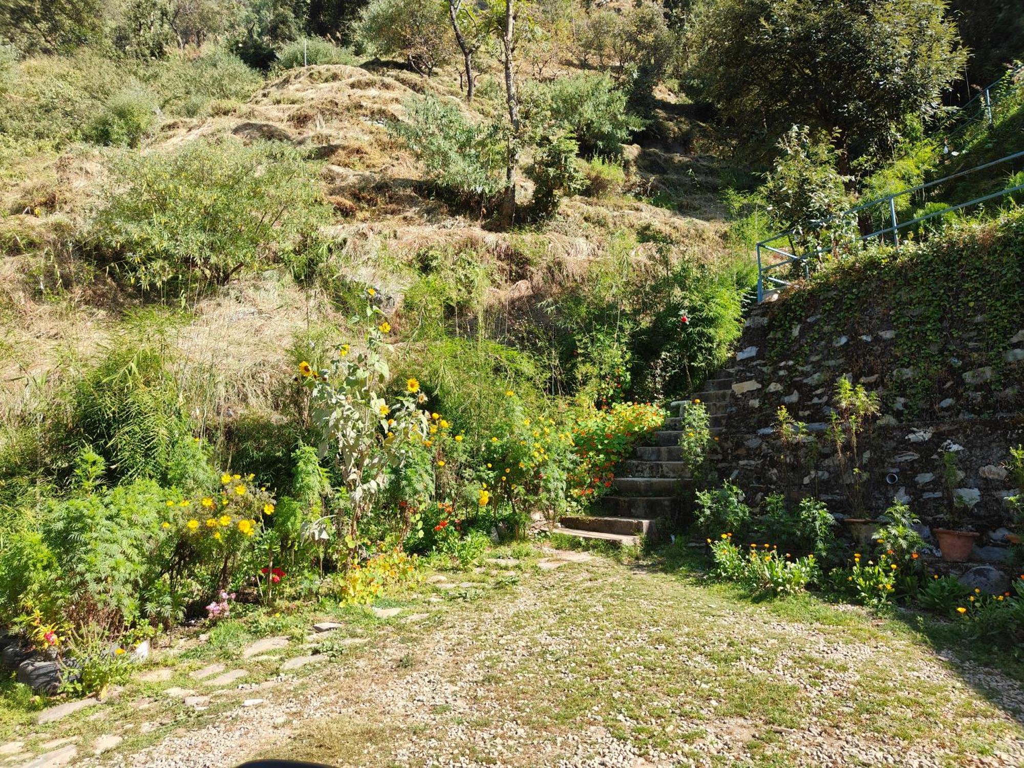 Himwanderer Camps & Cottages Pangot ナイニタール エクステリア 写真